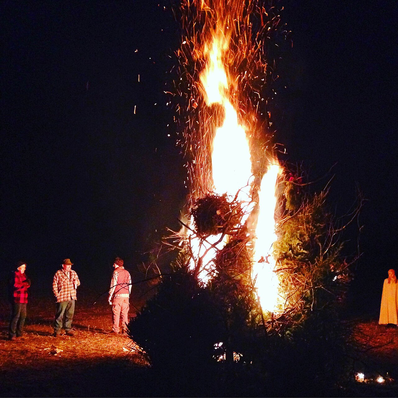 Christmas tree bonfire